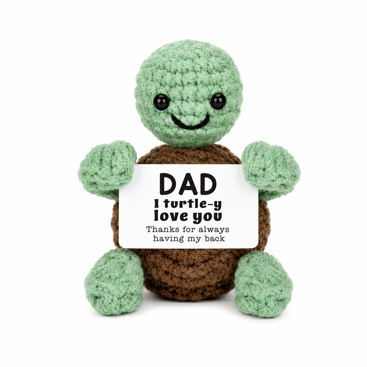 Love Dad Turtle 🐢