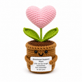 Emotional Support Pink Heart Pot 💖